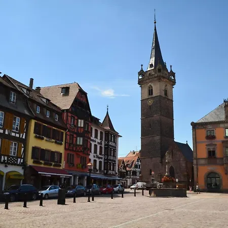 Plaine D'alsace 4p8p+3 Baby * Obernai