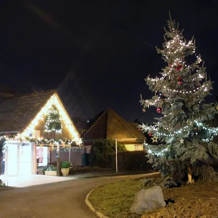 Plaine D'alsace 4p8p+3 Baby Resort